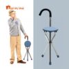 Folding Walking Stick Chair with Seat for Elderly